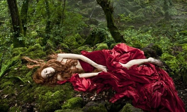 5 brutal fairy tales not for children 2