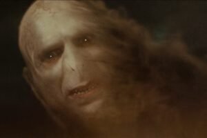 15 secret things that only Voldemort can do, but Harry Potter cannot (Part 1) 2